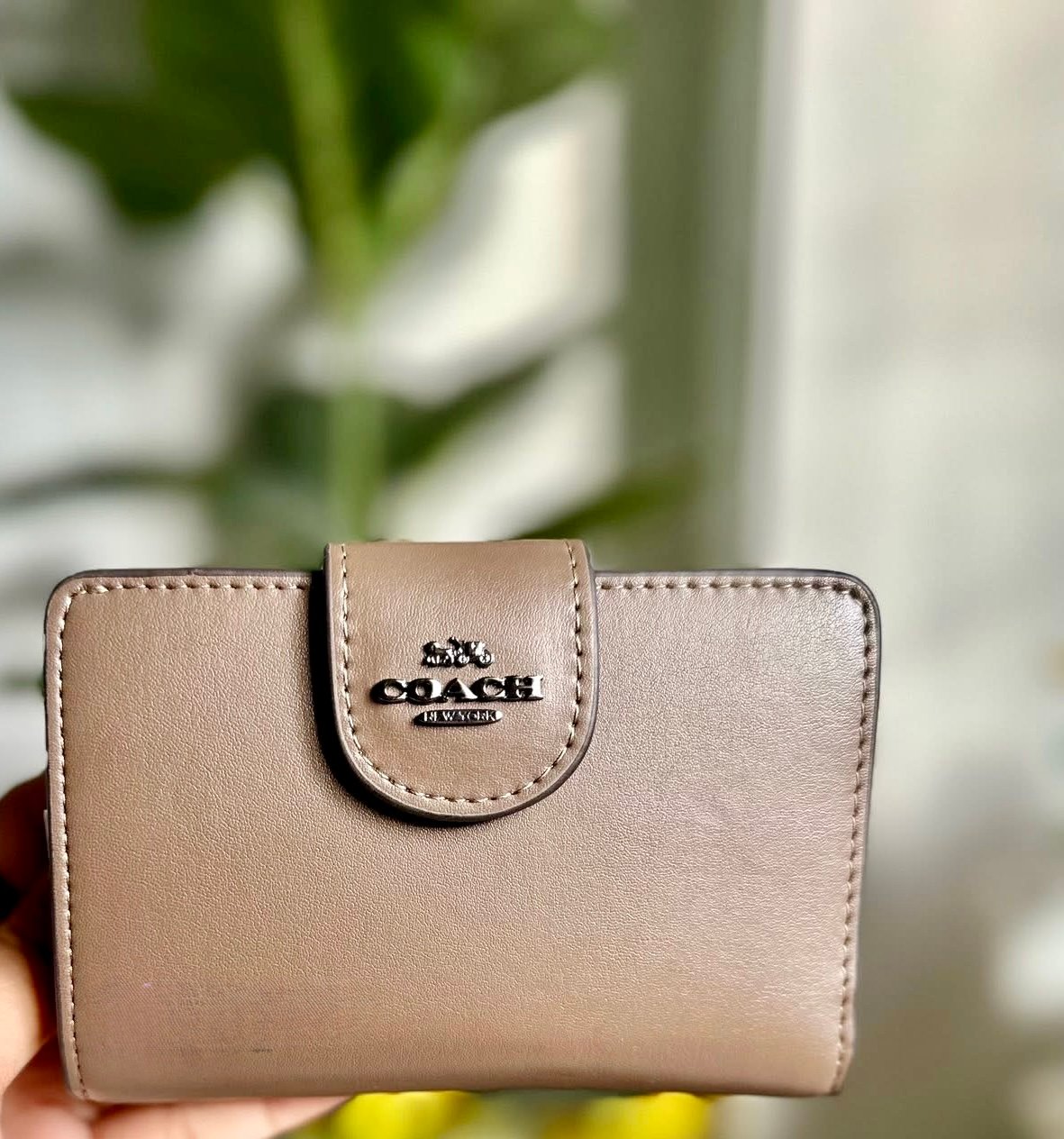 Wallet